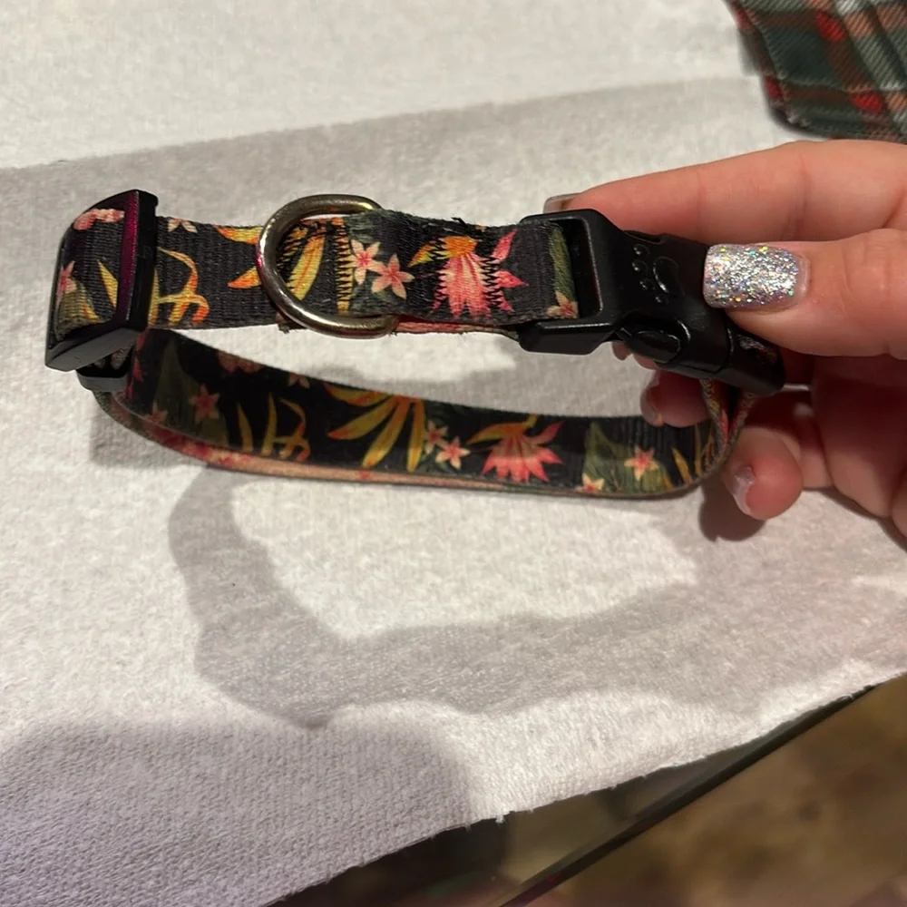 Medium - Large Halloween Dog or cat collar